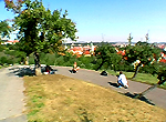 pic1