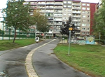pic1